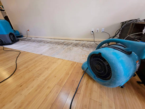 Professional Sewage Cleanup technician working in Pinopolis, SC